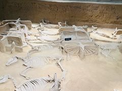 -洛阳周王城天子驾六博物馆