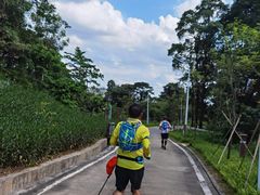 -天鹿湖森林公园