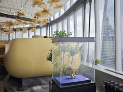 -雲上錢屋·地标景观(上海中心店)