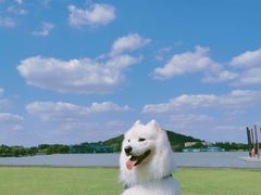 -上海月湖雕塑公园
