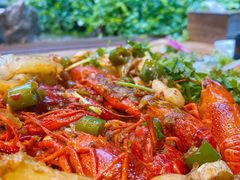 -森味薪火烧•烧鸟居酒屋•日本料理(望京店)
