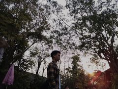 -绿光森林餐厅