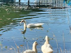 -白塘生态植物园