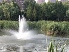 -前关湿地公园
