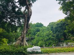 -柳侯公园