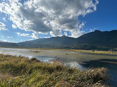 -腾冲北海湿地
