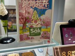 -Salud撒露欧洲冻酸奶(北苑上品店)