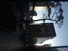 -新世界百货(明洞总店)