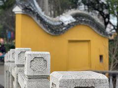 -金泽古镇