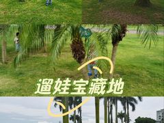 -野狸岛