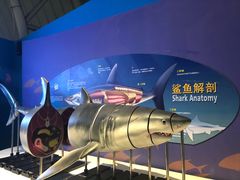 -烟台海昌鲸鲨海洋公园