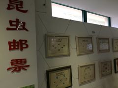 -上海昆虫博物馆