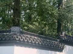 -上海醉白池公园