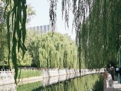 -环城公园