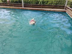 -太阳岛度假酒店