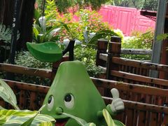 -晓港公园