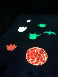 -恐龙探索乐园(磁器口店)