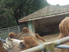 -无锡动物园·太湖欢乐园