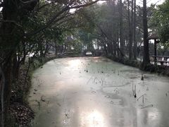 -东湖落雁景区