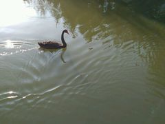 -芭东小镇温泉
