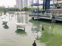 -厦门园林博览苑
