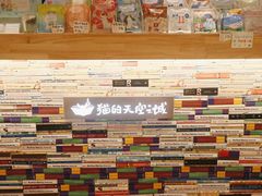 -猫的天空之城概念书店(束河店)