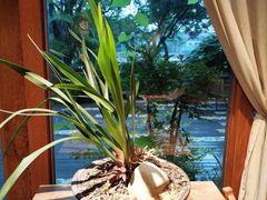 -时光花园(白鹭洲店)