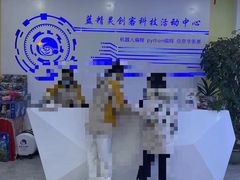 -蓝精灵创客少儿编程(百步亭中心)