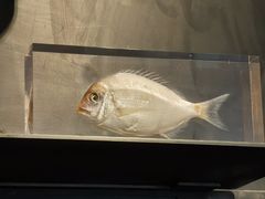 -drivepro(新天地北里店)