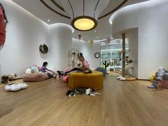 -1013 PET SHOP精品宠物商店(丁香店)