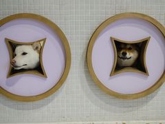 -柴务处·柴犬主题狗咖