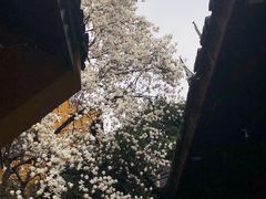 -龙华寺