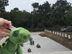 -广东惠东海龟国家级自然保护区