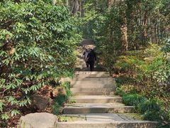 -杭州植物园