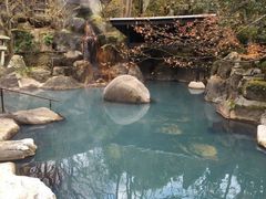 -和园景逸大酒店朗月汤泉