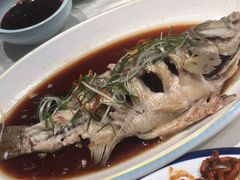 -津沽小院(天津之眼店)