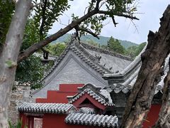 -泰山风景名胜区-普照寺