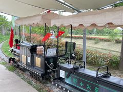 -嘉北郊野公园