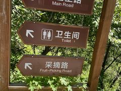 -大岭沟猕猴桃谷风景区
