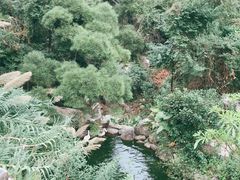 -厦门园林植物园-植物园滴水山房