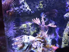 -太平洋海底世界