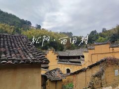 -杨家堂村
