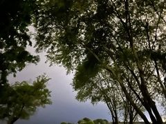 -贡湖湾湿地公园