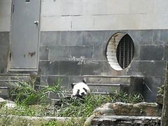 景点-碧峰峡风景区