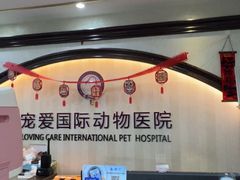 -宠爱国际动物医院·消化内科·心肾内科·ISFM猫友好(望京店)
