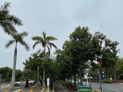 -深圳湾公园(南山区)