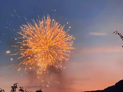 -华龙特色大骨鸡农家菜馆