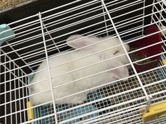 -乐宠宠物店(世纪金源店)