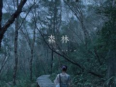 -白草畔自然风景区