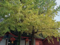 -金堂县云顶石城风景区